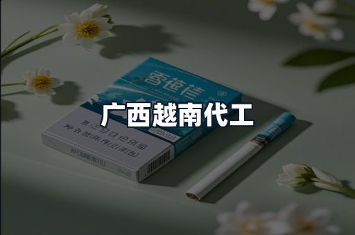 广西越南代工